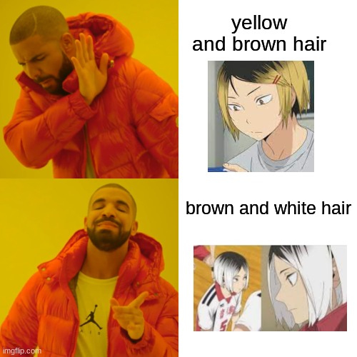 Drake Hotline Bling Meme | yellow and brown hair; brown and white hair | image tagged in memes,drake hotline bling | made w/ Imgflip meme maker
