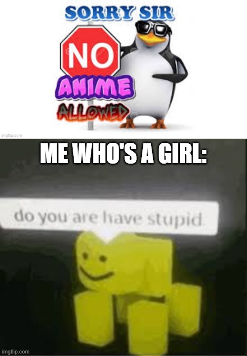 idk I made this for fun. no shame to the guy who sent me this | ME WHO'S A GIRL: | image tagged in do you are have stupid | made w/ Imgflip meme maker