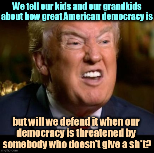 He doesn't know the meaning of the word. | We tell our kids and our grandkids about how great American democracy is; but will we defend it when our 
democracy is threatened by 
somebody who doesn't give a sh*t? | image tagged in trump teeth,trump,democracy,dictator,selfish | made w/ Imgflip meme maker