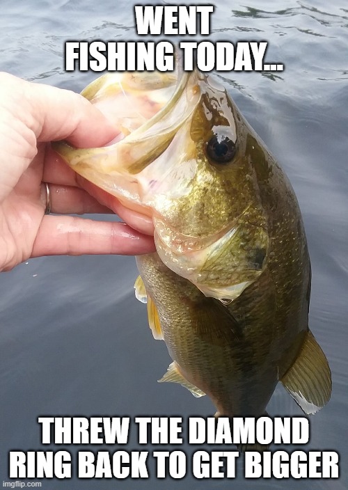  WENT FISHING TODAY... THREW THE DIAMOND RING BACK TO GET BIGGER | image tagged in fishing,summer vacation,diamond,all about that bass,dumbass,bass | made w/ Imgflip meme maker
