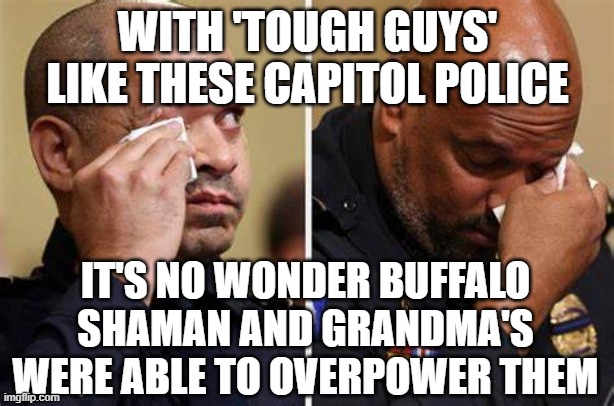 Tough guys indeed |  WITH 'TOUGH GUYS' LIKE THESE CAPITOL POLICE; IT'S NO WONDER BUFFALO SHAMAN AND GRANDMA'S WERE ABLE TO OVERPOWER THEM | image tagged in capitol police,january 6,insurrection | made w/ Imgflip meme maker