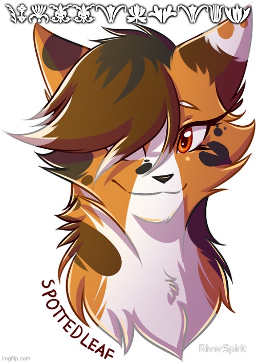 spottedleaf in bodoni ornaments | Spottedleaf | image tagged in warrior cats spottedleaf | made w/ Imgflip meme maker