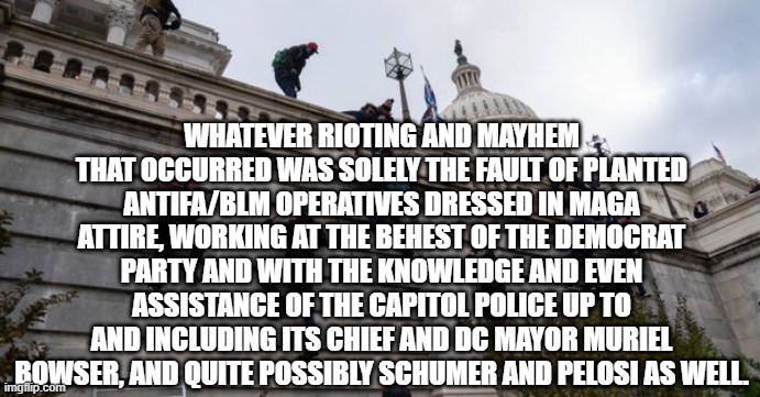 not the official version | WHATEVER RIOTING AND MAYHEM THAT OCCURRED WAS SOLELY THE FAULT OF PLANTED ANTIFA/BLM OPERATIVES DRESSED IN MAGA ATTIRE, WORKING AT THE BEHEST OF THE DEMOCRAT PARTY AND WITH THE KNOWLEDGE AND EVEN ASSISTANCE OF THE CAPITOL POLICE UP TO AND INCLUDING ITS CHIEF AND DC MAYOR MURIEL BOWSER, AND QUITE POSSIBLY SCHUMER AND PELOSI AS WELL. | image tagged in capitol riot | made w/ Imgflip meme maker