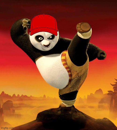 kung fu panda | image tagged in kung fu panda | made w/ Imgflip meme maker