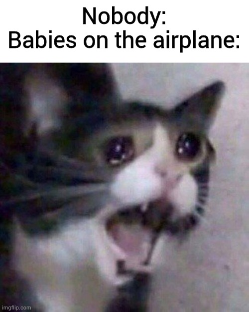 e | Nobody:
Babies on the airplane: | image tagged in screaming cat meme | made w/ Imgflip meme maker