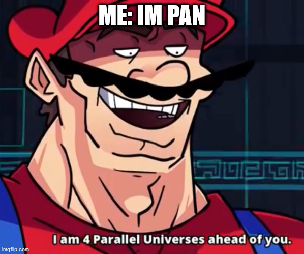 I Am 4 Parallel Universes Ahead Of You | ME: IM PAN | image tagged in i am 4 parallel universes ahead of you | made w/ Imgflip meme maker