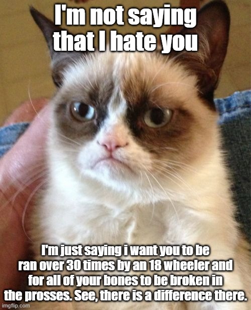 hate vs crushed | I'm not saying that I hate you; I'm just saying i want you to be ran over 30 times by an 18 wheeler and for all of your bones to be broken in the prosses. See, there is a difference there. | image tagged in memes,grumpy cat,hate,angry,stink eye | made w/ Imgflip meme maker
