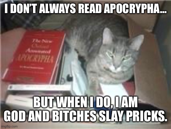 Apocrypha | I DON’T ALWAYS READ APOCRYPHA…; BUT WHEN I DO, I AM GOD AND BITCHES SLAY PRICKS. | image tagged in cat | made w/ Imgflip meme maker