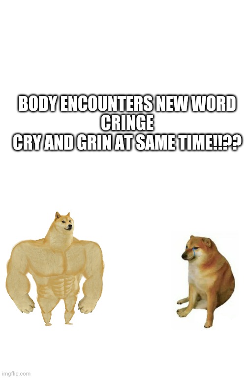 Fun | BODY ENCOUNTERS NEW WORD
CRINGE
CRY AND GRIN AT SAME TIME!!?? | image tagged in memes,buff doge vs cheems | made w/ Imgflip meme maker