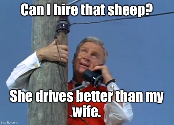 Green Acres phone | Can I hire that sheep? She drives better than my
wife. | image tagged in green acres phone | made w/ Imgflip meme maker