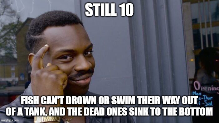 Roll Safe Think About It Meme | STILL 10 FISH CAN'T DROWN OR SWIM THEIR WAY OUT OF A TANK, AND THE DEAD ONES SINK TO THE BOTTOM | image tagged in memes,roll safe think about it | made w/ Imgflip meme maker