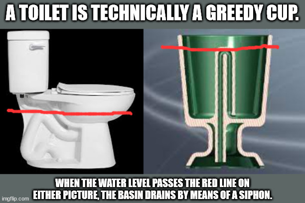 The fact that the greedy cup has its drainage system in the center in stead of off to the side makes no difference topologically | A TOILET IS TECHNICALLY A GREEDY CUP. WHEN THE WATER LEVEL PASSES THE RED LINE ON EITHER PICTURE, THE BASIN DRAINS BY MEANS OF A SIPHON. | made w/ Imgflip meme maker