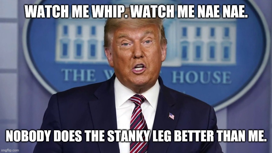 Watch me whip. | WATCH ME WHIP. WATCH ME NAE NAE. NOBODY DOES THE STANKY LEG BETTER THAN ME. | image tagged in donald trump | made w/ Imgflip meme maker