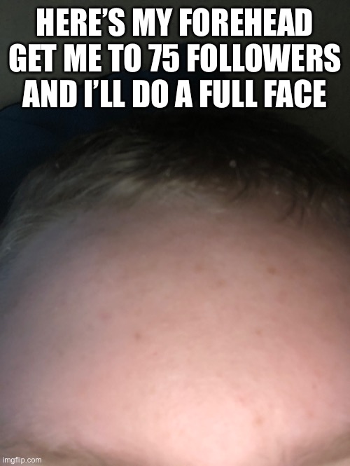 Dorhwa | HERE’S MY FOREHEAD GET ME TO 75 FOLLOWERS AND I’LL DO A FULL FACE | made w/ Imgflip meme maker