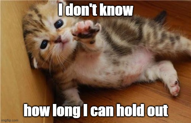 Help Me Kitten | I don't know how long I can hold out | image tagged in help me kitten | made w/ Imgflip meme maker