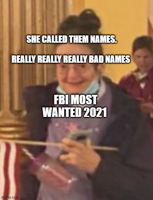 Capitol meemaw | SHE CALLED THEM NAMES.                          REALLY REALLY REALLY BAD NAMES; FBI MOST WANTED 2021 | image tagged in capitol meemaw | made w/ Imgflip meme maker