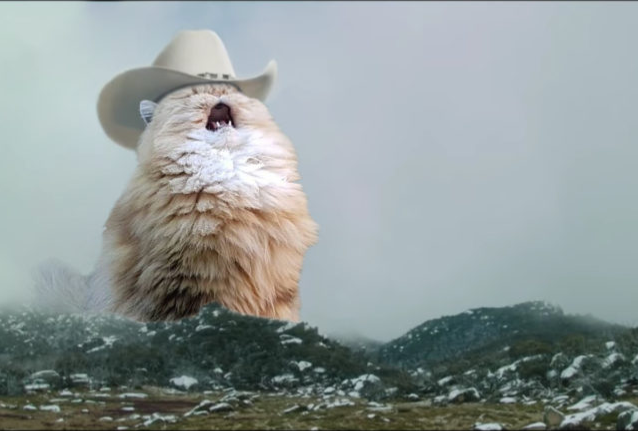 High Quality Cat Mountains Blank Meme Template