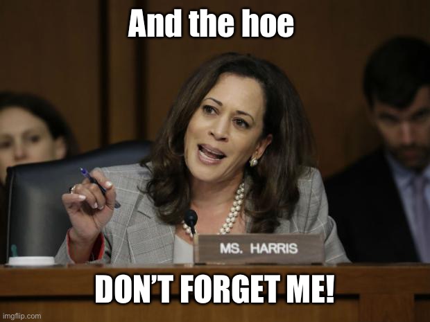 Kamala Harris | And the hoe DON’T FORGET ME! | image tagged in kamala harris | made w/ Imgflip meme maker