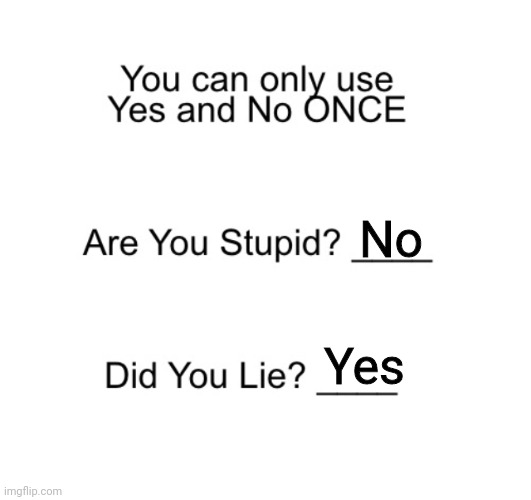 No; Yes | image tagged in are you stupid | made w/ Imgflip meme maker