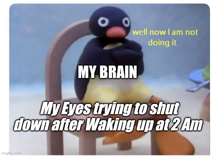 well now I am not doing it | MY BRAIN; My Eyes trying to shut down after Waking up at 2 Am | image tagged in well now i am not doing it | made w/ Imgflip meme maker