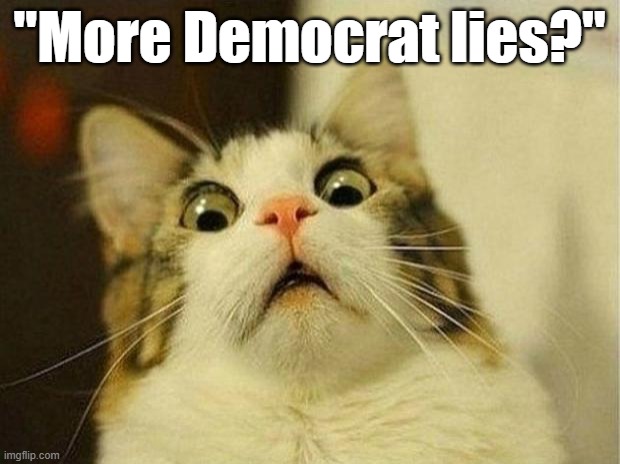 Funny political cat meme: "More Democrat lies?" | "More Democrat lies?" | image tagged in memes,scared cat,funny memes,funny animals,political memes,democrats | made w/ Imgflip meme maker