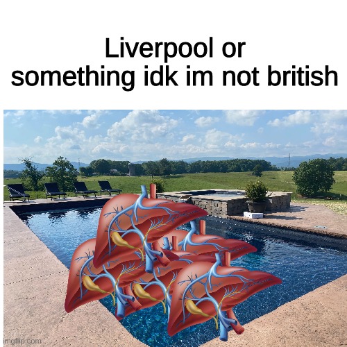 Liverpool or something idk im not british | image tagged in liverpool,idk | made w/ Imgflip meme maker