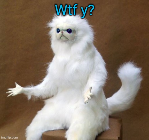 Persian white monkey | Wtf y? | image tagged in persian white monkey | made w/ Imgflip meme maker