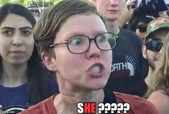 Triggered Liberal | SHE HE ????? | image tagged in triggered liberal | made w/ Imgflip meme maker