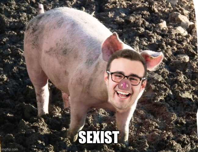 Sexist man pig | SEXIST | image tagged in sexist man pig | made w/ Imgflip meme maker