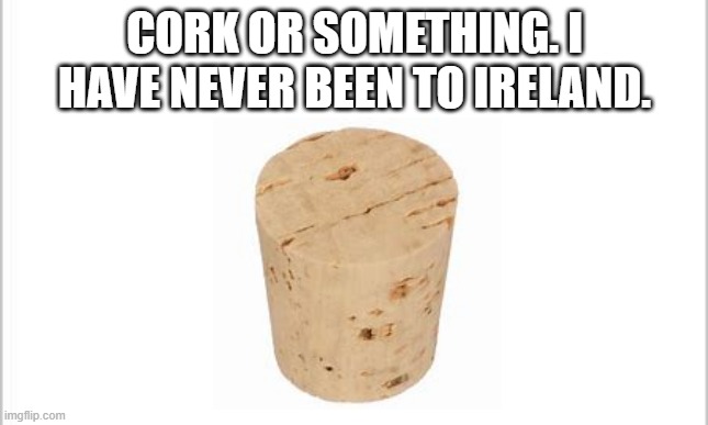 cork | CORK OR SOMETHING. I HAVE NEVER BEEN TO IRELAND. | image tagged in white background | made w/ Imgflip meme maker