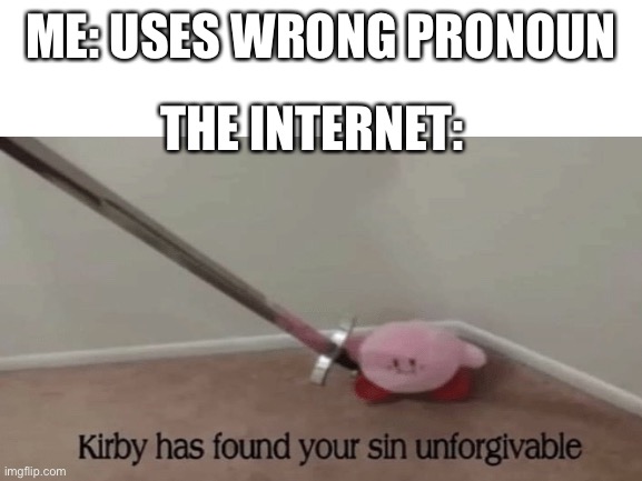 Puch | ME: USES WRONG PRONOUN; THE INTERNET: | made w/ Imgflip meme maker