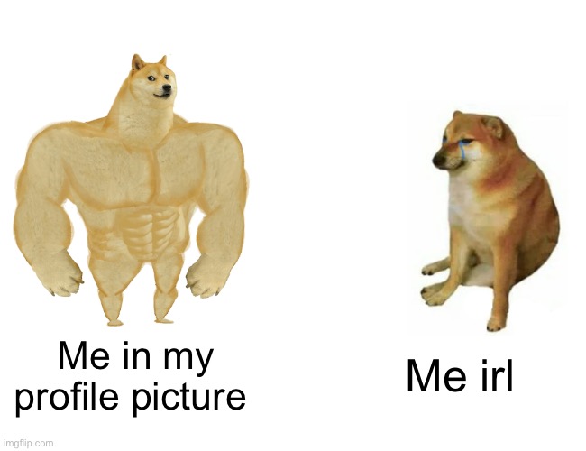 Profile pic vs irl me | Me in my profile picture; Me irl | image tagged in memes,buff doge vs cheems,the truth | made w/ Imgflip meme maker