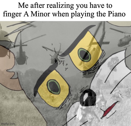 Holdup | Me after realizing you have to finger A Minor when playing the Piano | image tagged in unsettled tom vietnam | made w/ Imgflip meme maker
