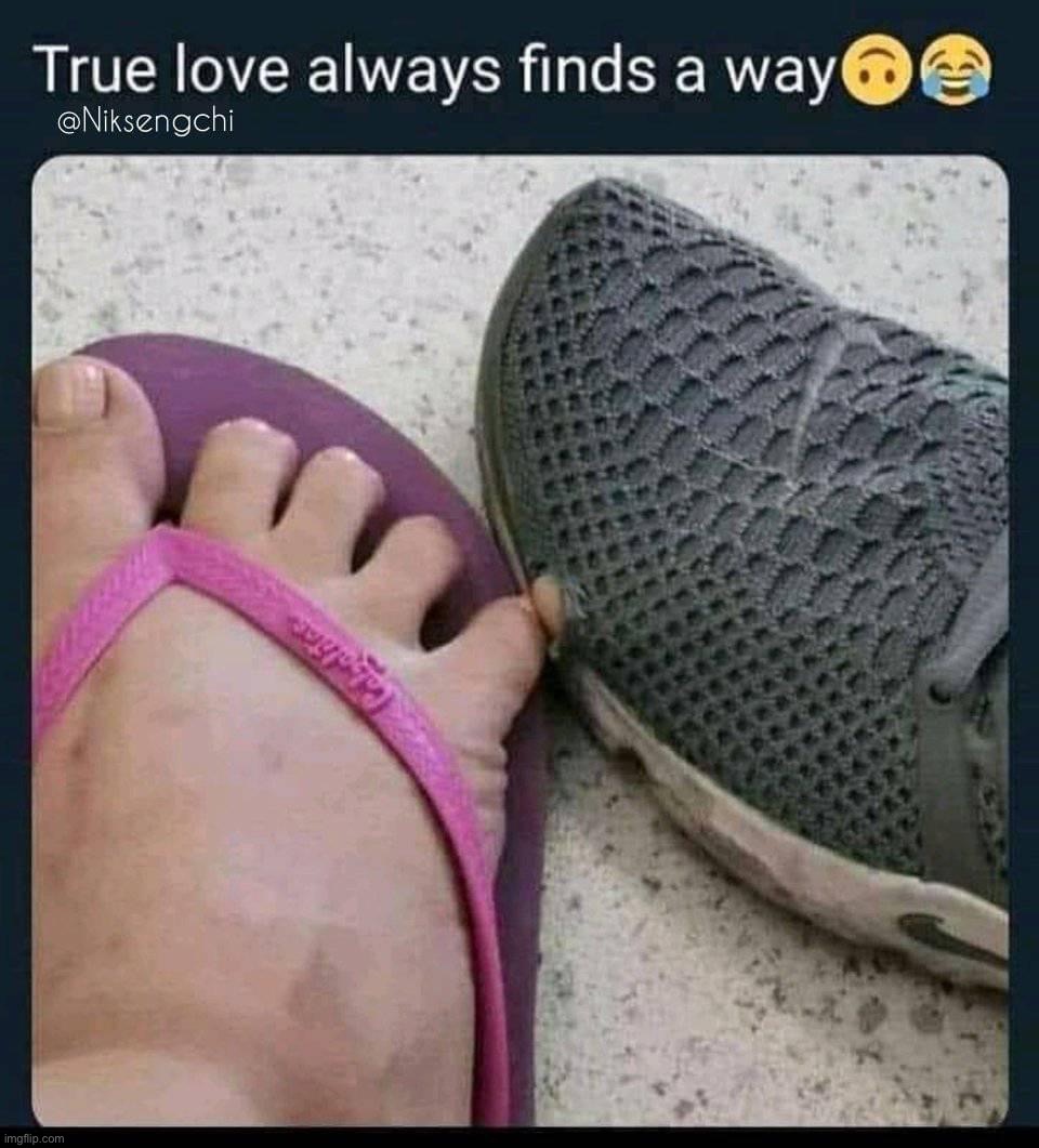 :) | image tagged in true love always finds a way,love,true love,wholesome,feet,repost | made w/ Imgflip meme maker