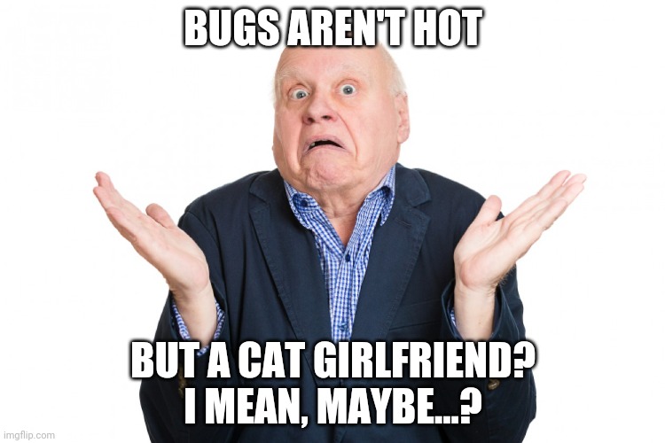 I don't know guy | BUGS AREN'T HOT BUT A CAT GIRLFRIEND? I MEAN, MAYBE...? | image tagged in i don't know guy | made w/ Imgflip meme maker