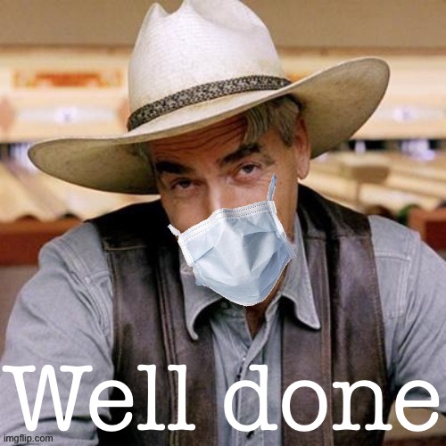 Sarcasm cowboy with face mask | Well done | image tagged in sarcasm cowboy with face mask | made w/ Imgflip meme maker