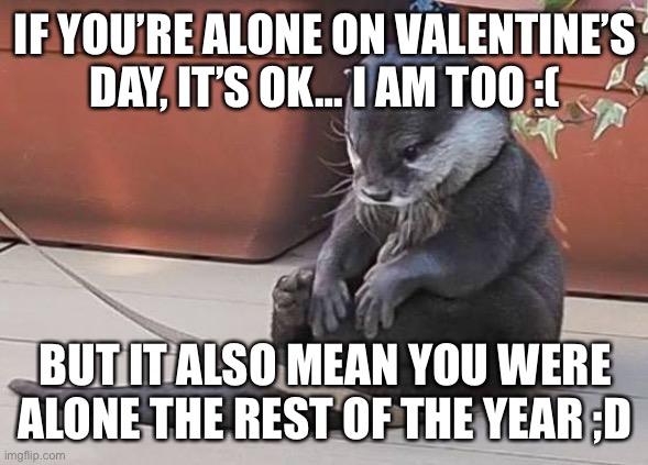 Sad Otter | IF YOU’RE ALONE ON VALENTINE’S DAY, IT’S OK… I AM TOO :( BUT IT ALSO MEAN YOU WERE ALONE THE REST OF THE YEAR ;D | image tagged in sad otter | made w/ Imgflip meme maker