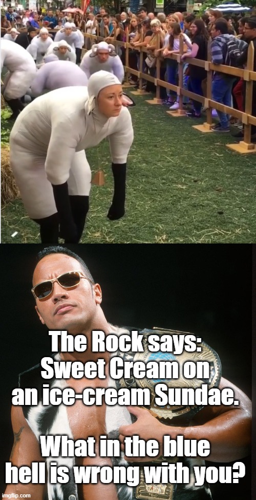 WWE fans know exactly what it would sound like | The Rock says: Sweet Cream on an ice-cream Sundae. What in the blue hell is wrong with you? | image tagged in wwe,the rock,dwayne johnson | made w/ Imgflip meme maker