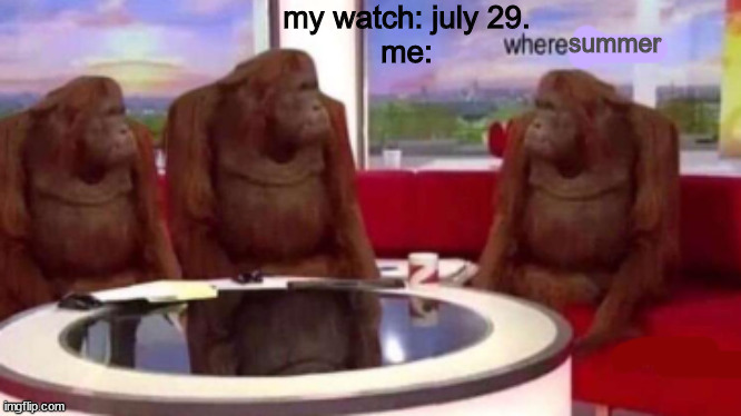 where is it, WHERE IS IT? | my watch: july 29.
me:; summer | image tagged in where banana blank | made w/ Imgflip meme maker