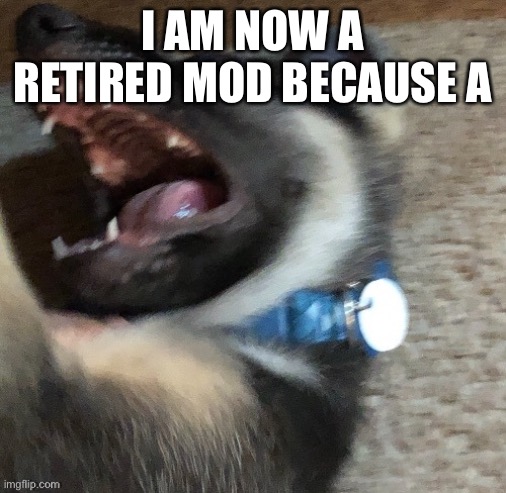 E | I AM NOW A RETIRED MOD BECAUSE A | image tagged in sports,its,not,in,the,game | made w/ Imgflip meme maker