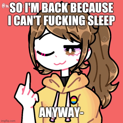 fuck off | SO I'M BACK BECAUSE I CAN'T FUCKING SLEEP; ANYWAY- | image tagged in fuck off | made w/ Imgflip meme maker