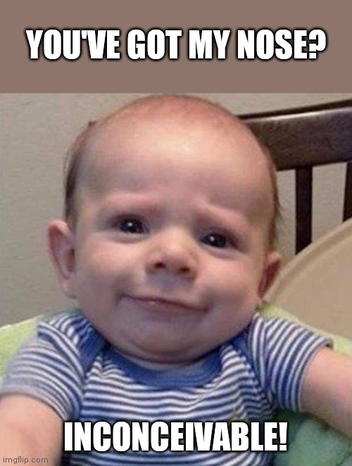 Inconceivable | YOU'VE GOT MY NOSE? INCONCEIVABLE! | image tagged in baby | made w/ Imgflip meme maker