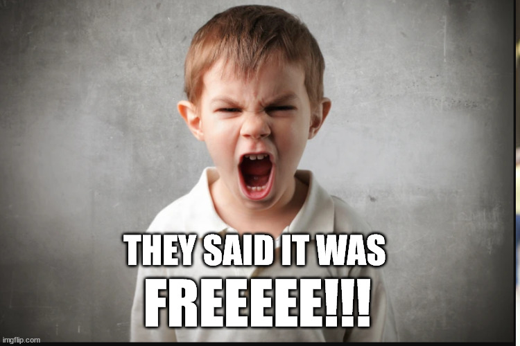 Yelling kid says they said it was free |  THEY SAID IT WAS; FREEEEE!!! | image tagged in yelling kid | made w/ Imgflip meme maker