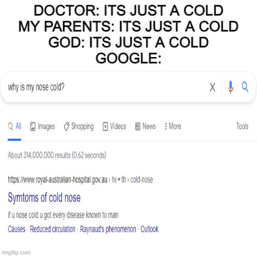 my nose is cold... | DOCTOR: ITS JUST A COLD
MY PARENTS: ITS JUST A COLD
GOD: ITS JUST A COLD
GOOGLE: | image tagged in google,memes | made w/ Imgflip meme maker