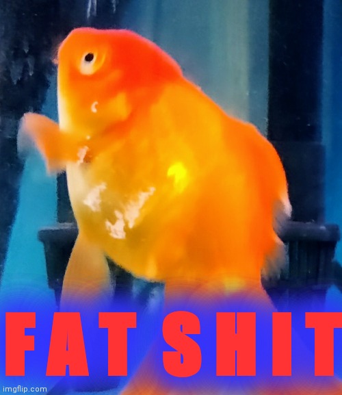 F A T  S H I T | made w/ Imgflip meme maker