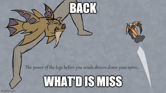 leg | BACK; WHAT'D IS MISS | image tagged in leg | made w/ Imgflip meme maker
