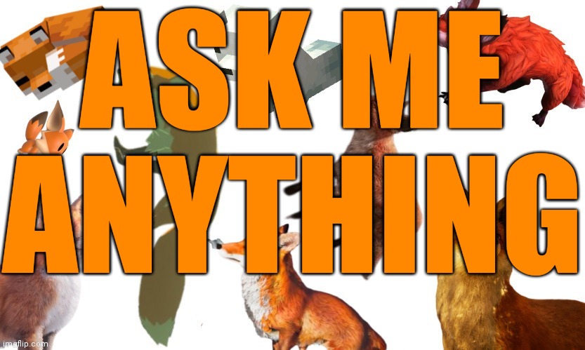 ASK ME ANYTHING | image tagged in video game foxes | made w/ Imgflip meme maker