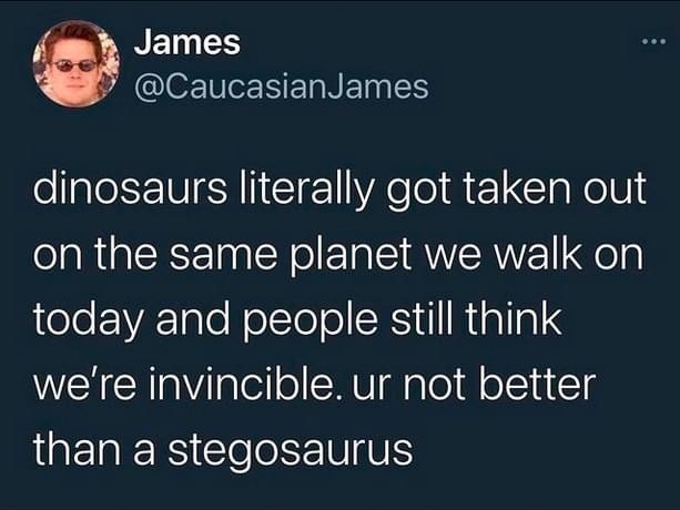 Ur not better than a stegosaurus Blank Meme Template