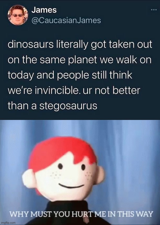 “ur not better than a stegosaurus” | image tagged in ur not better than a stegosaurus,why must you hurt me in this way,oof,dinosaurs,dinosaur,extinction | made w/ Imgflip meme maker