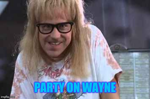 PARTY ON WAYNE | made w/ Imgflip meme maker